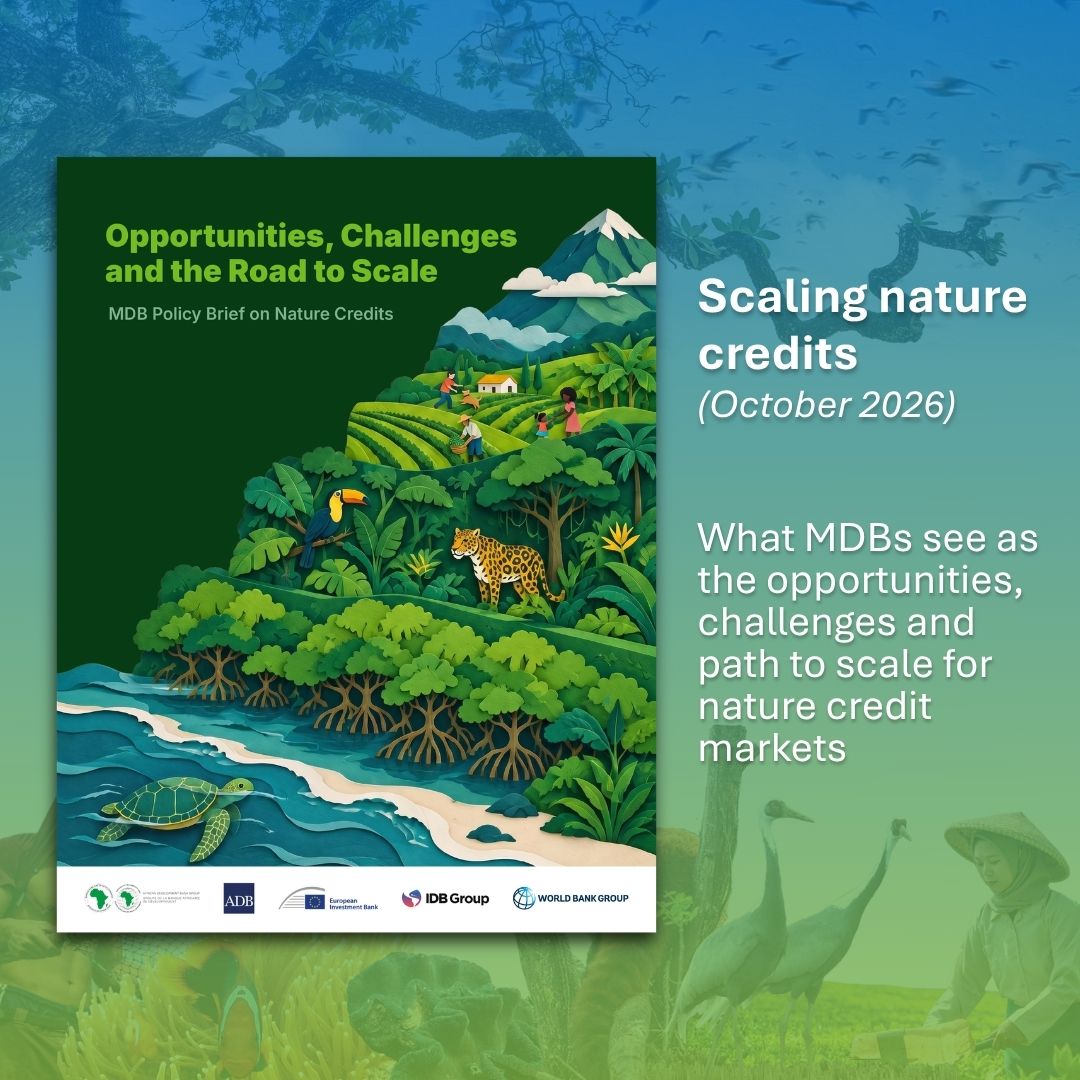 Opportunities, Challenges, and Road to Scale: MDB Policy Brief on Nature Credits