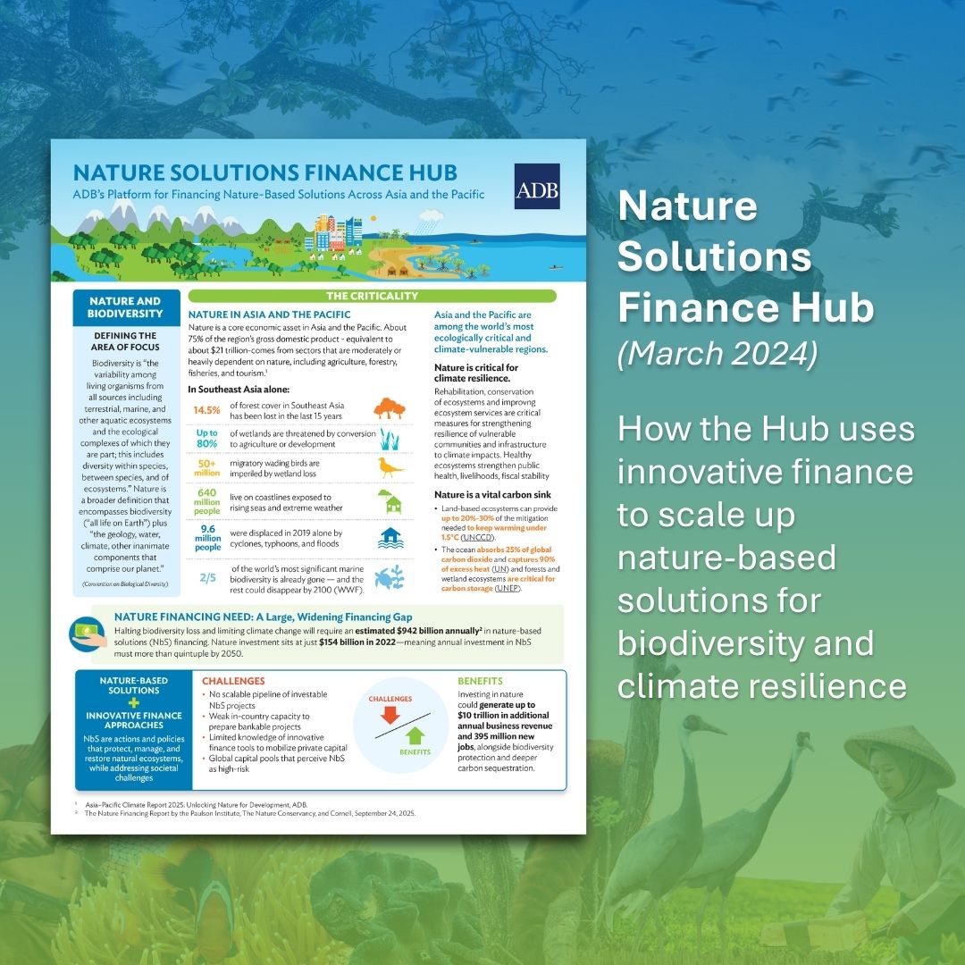 Nature Solutions Finance Hub Flyer